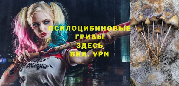 прущая мука Армянск